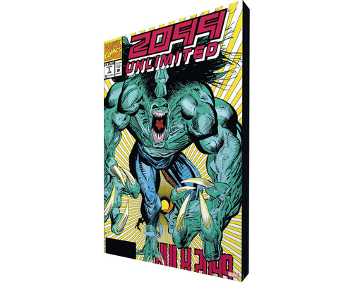 Bande dessinée Hulk 2099 Unlimited numéro 3