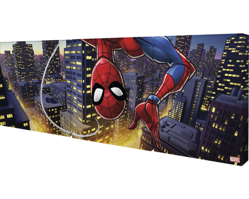 Toile - Spiderman at Cages - 40x30cm Photo sur Toile Peinture (Décoration  murale sur