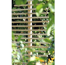 Tuteur pour plantes en bois dans le jardin pour le soutien des plantes