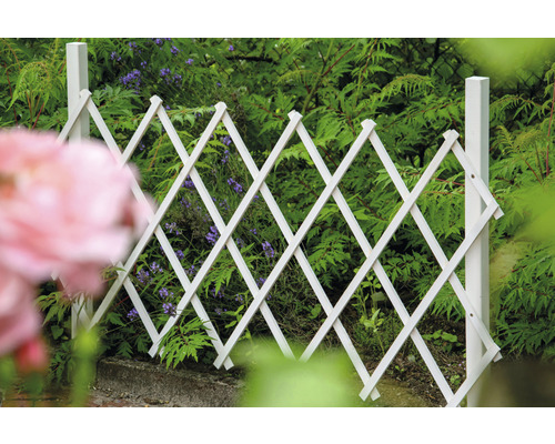 Weisse Rankhilfe aus Holz vor Pflanzen im Garten