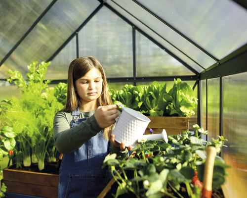 Mädchen gießt Pflanzen im Gewächshaus mit einer Gießkanne. Angebaut werden Salat, Kräuter und Erdbeeren.