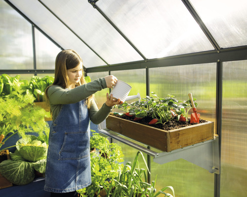 Ein Mädchen giesst Erdbeeren in einem Gewächshaus.