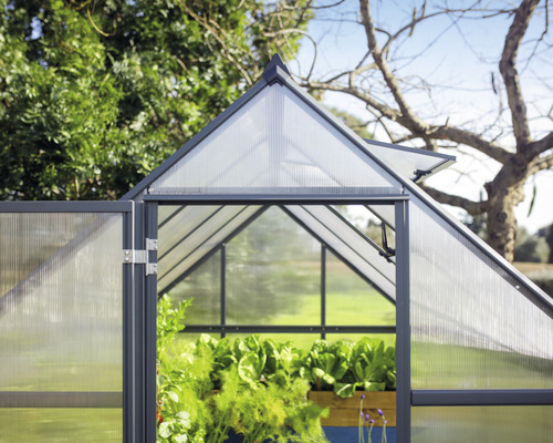 Gewächshaus mit geöffneter Tür und Pflanzen im Inneren.