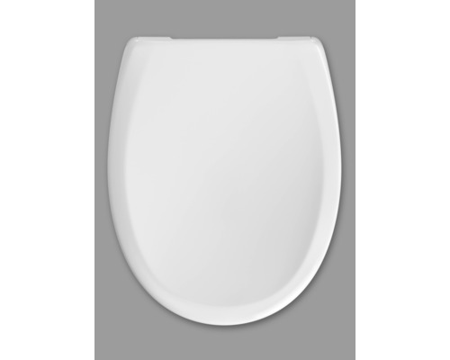 Toilettendeckel aus Sanitärkeramik, Aufsicht