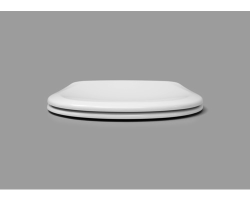 Toilettendeckel aus Kunststoff