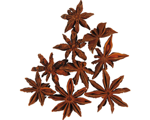 Sternanis Gewürz