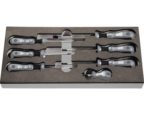 Jeu de tournevis avec tournevis Torx et clés Allen dans une boîte à outils