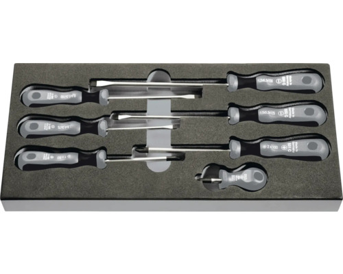 Jeu de tournevis avec tournevis plats et cruciformes dans un insert en mousse
