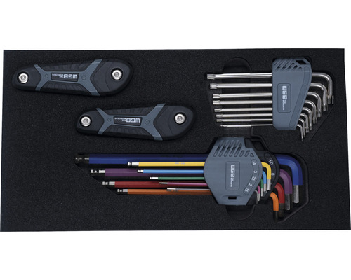 Jeu de clés Allen de différentes tailles et formes dans un insert en mousse noire