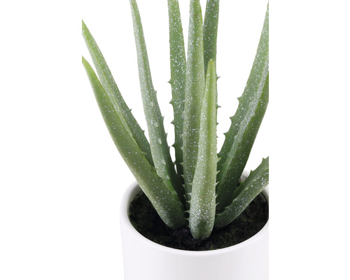 Plante artificielle d''Aloe Vera dans un pot blanc