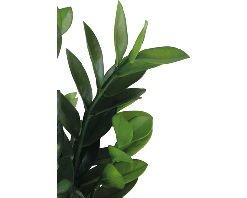 Nahaufnahme von künstlichen Buchsbaumblättern