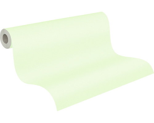 Rolle Malervlies