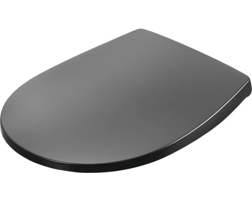 Toilettendeckel aus Kunststoff