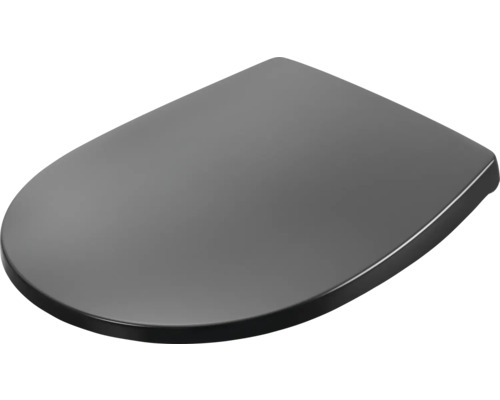 Toilettendeckel aus Kunststoff