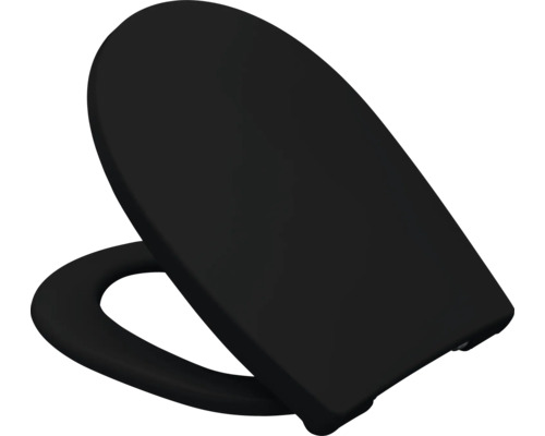 Toilettendeckel aus Kunststoff