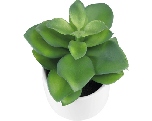 Kunstpflanze Sukkulente im weißen Topf