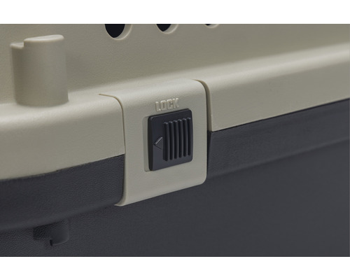 Vue détaillée du verrou d''une cage de transport pour animaux de compagnie avec l''inscription ''Lock''.