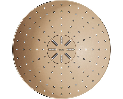 Pomme de douche Grohe pour montage au plafond