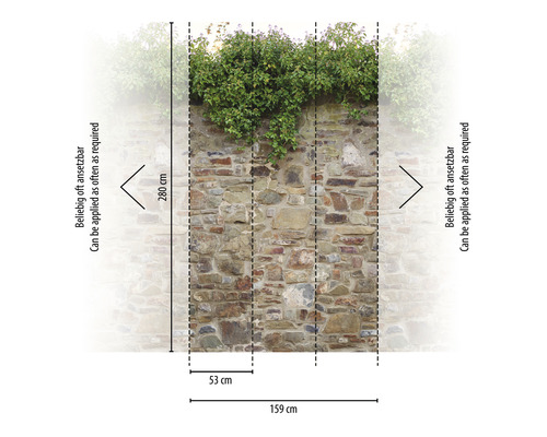 Fototapete mit Steinmauer und Pflanzen, Maße 159 cm breit und 280 cm hoch