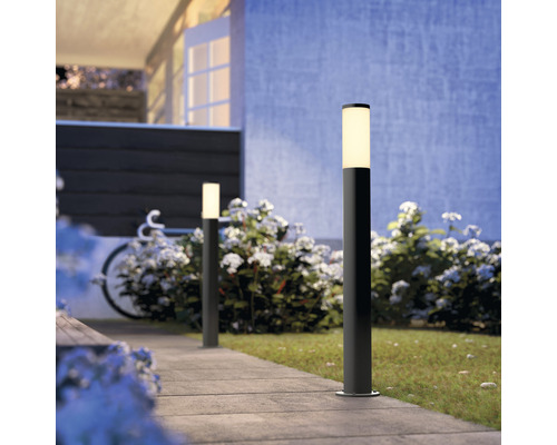 Chemin de jardin éclairé avec bornes lumineuses devant une maison