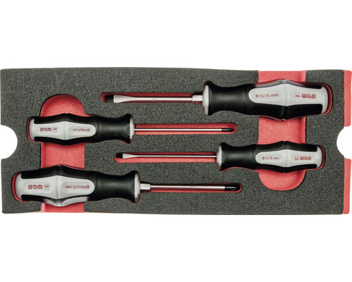 Jeu de tournevis avec fente et cruciforme dans un insert en mousse