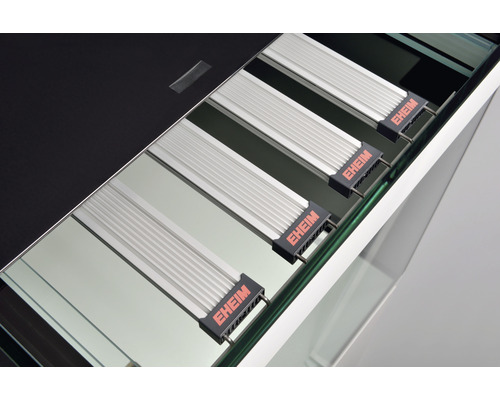 Aufnahme eines Aquariums mit EHEIM Logo Beleuchtung