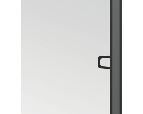 Vue détaillée d''une cabine de douche avec poignée