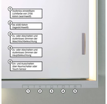 Spiegelschrank KEUCO Royal Lumos 65 x 16,5 x 73,5 cm silber 1-türig LED IP 24 Unterputz 722