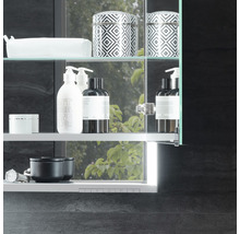 Spiegelschrank KEUCO Royal Lumos 100 x 16,5 x 73,5 cm verspiegelt 2-türig LED IP 24 713