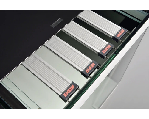 Detailansicht vun engem Aquarium mat Eheim-Beleuchtung