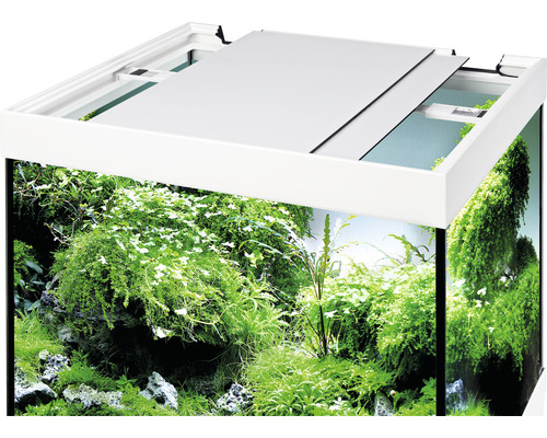 Aquarium avec plantes et couvercle partiellement ouvert