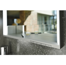 Spiegelschrank KEUCO Royal Lumos 65 x 16,5 x 73,5 cm silber 1-türig LED IP 24 Unterputz 712