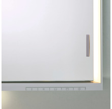 Spiegelschrank KEUCO Royal Lumos 65 x 16,5 x 73,5 cm verspiegelt 1-türig LED IP 24 722