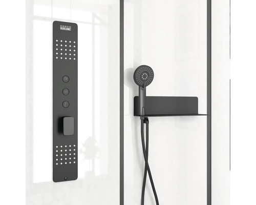 Duschpaneel mit Handbrause im Badezimmer