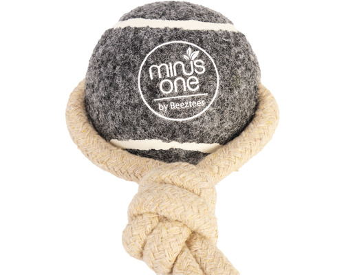 Jouet pour chien balle avec corde