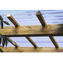 Vue détaillée d''une pergola en bois avec un toit transparent