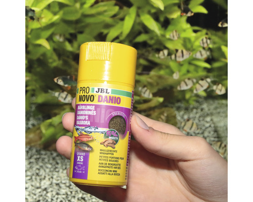 JBL Novo Danio Fischfutter Dose in der Hand