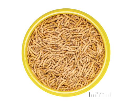 Fischnahrung in einer Dose, Nahaufnahme