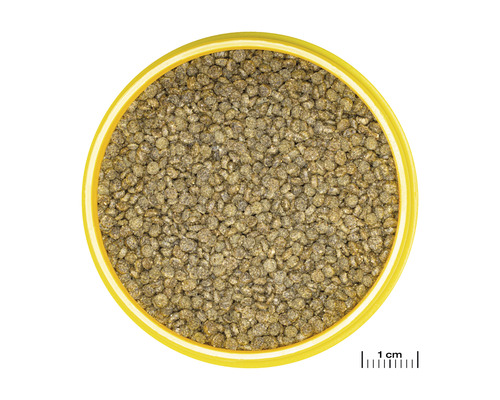 Fischfutter-Pellets in einer Schale