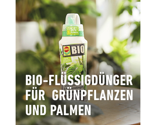 Bio Flüssigdünger für Grünpflanzen und Palmen