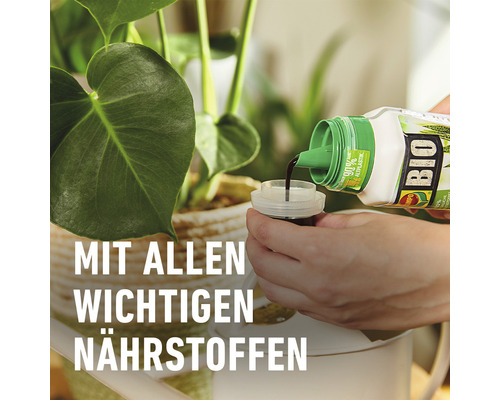 Flüssigdünger wird in eine Dosierkappe gegossen, Zimmerpflanze im Hintergrund