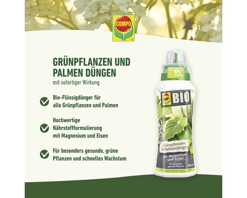 Compo Logo. Flüssigdünger für Grünpflanzen und Palmen.
