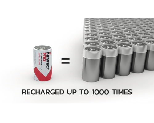 Représentation : une pile rechargeable équivaut à la quantité de piles nécessaires pour recharger une pile 1 000 fois