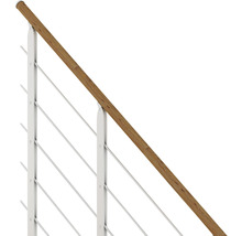 Geländer mit Holzhandlauf und Edelstahlseilen