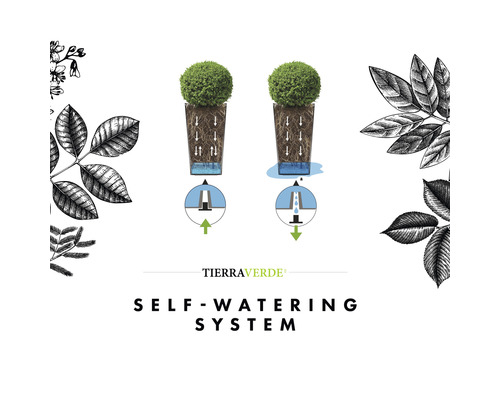 Illustration eines Selbstbewässerungssystems für Pflanzen