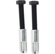 Zwei Stockschrauben mit metrischem Gewinde und Spreizdübel