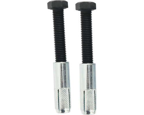 Zwei Stockschrauben mit metrischem Gewinde und Spreizdübel