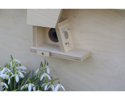 Fledermauskasten aus Holz mit Schneeglöckchen