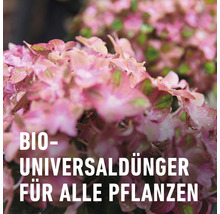 Blumendünger COMPO BIO 1,3 Lm Flüssigdünger mit Kalium-thumb-3