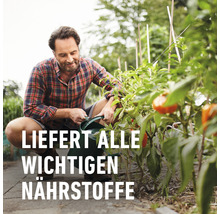 Mann gießt Pflanzen im Garten mit einer Gießkanne